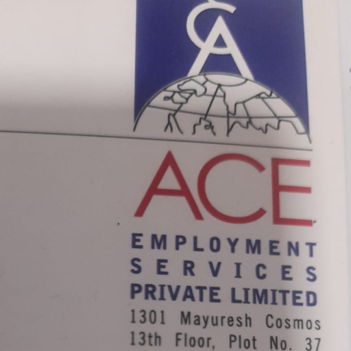 ACE Employement Service Private Limited